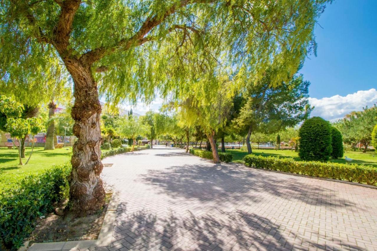 Apartamentos Villa Madrid トレビエハ エクステリア 写真